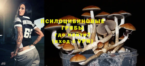 а пвп мука Арсеньев